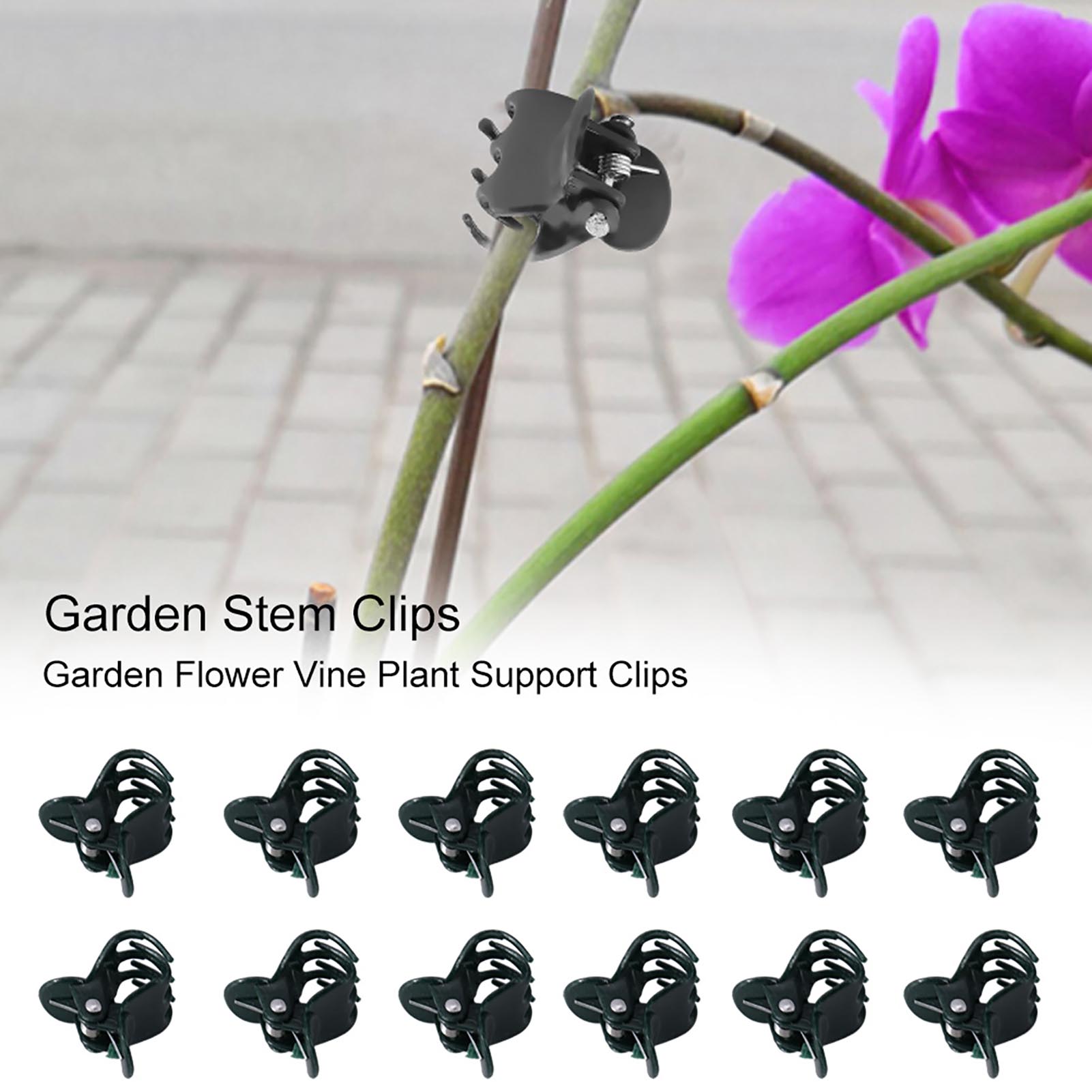 Florist Supply Bulk - 100 шт., мини-зажимы для растений, садовая