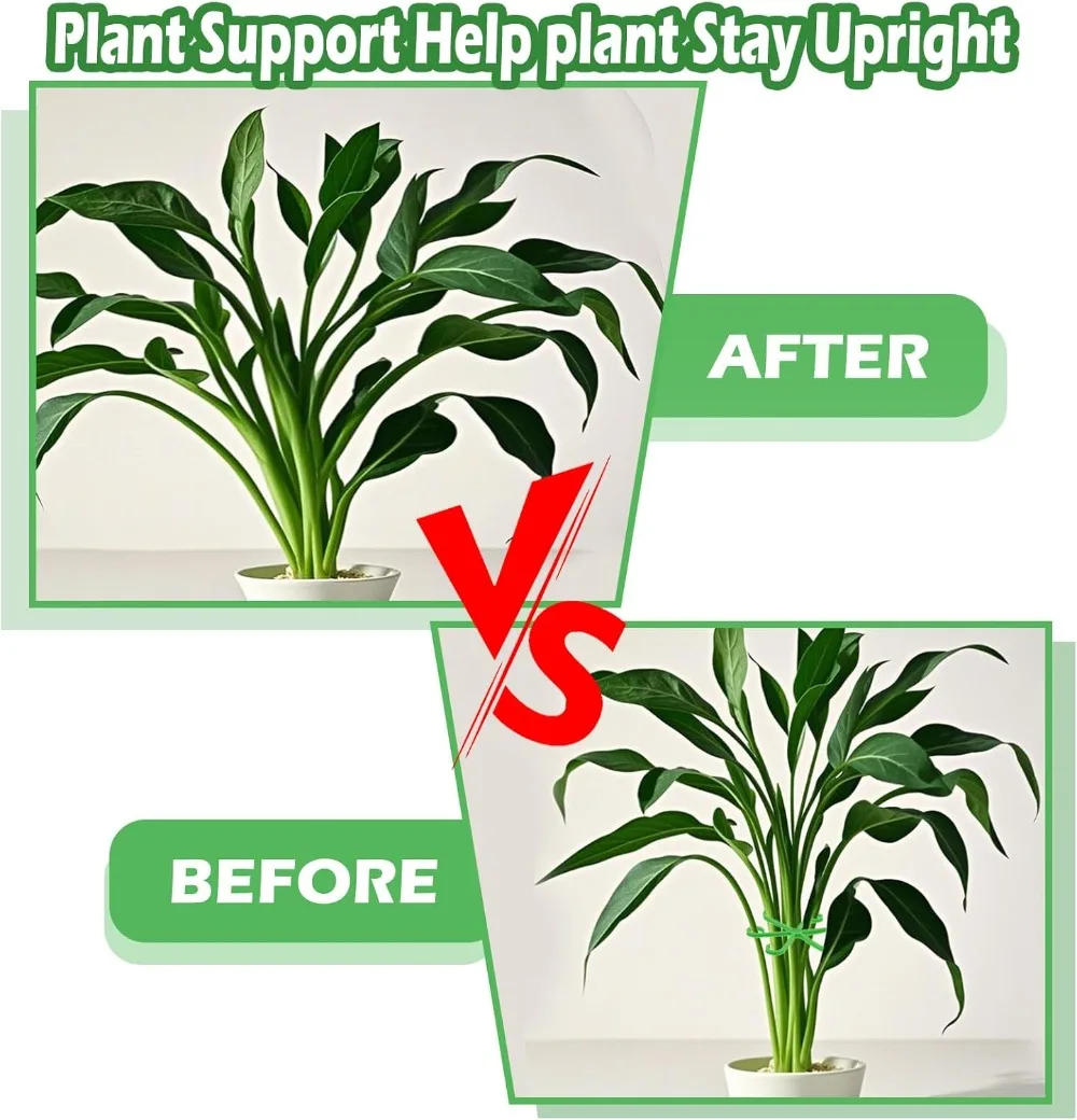 Опорные колья для стеблей цвет – обзор и цена Florist Supply Bulk