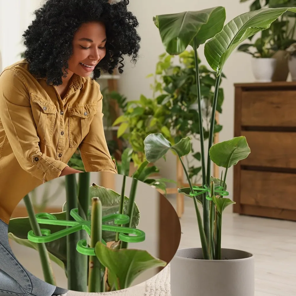 Опорные колья для стеблей цвет – обзор и цена Florist Supply Bulk