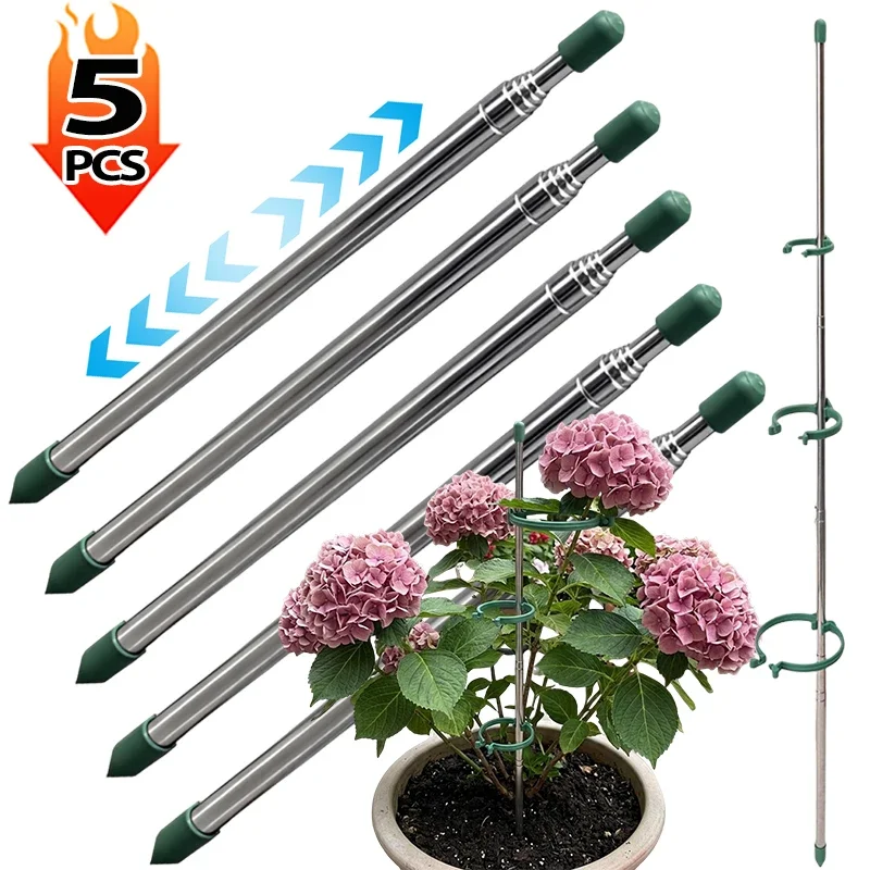 5/1 шт. Выдвижные кольцевые оп – обзор и цена Florist Supply Bulk